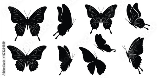 Black silhouette butterflies in various poses on a white background butterfly insect