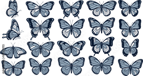 Twenty blue and white butterflies in different poses on a white background butterfly insect