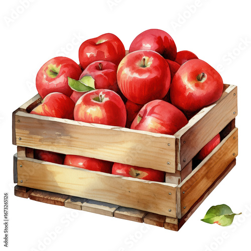 Hand Painted Apple Basket Illustration - Clip Art with Transparent Background