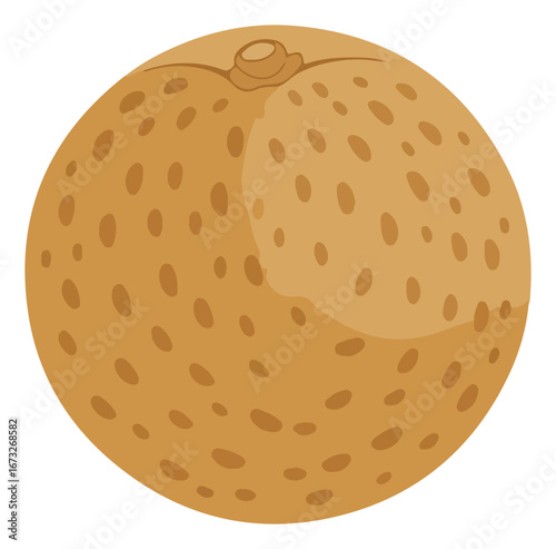 A cartoon illustration of a whole, round longan fruit with a textured brown skin and stem detail.