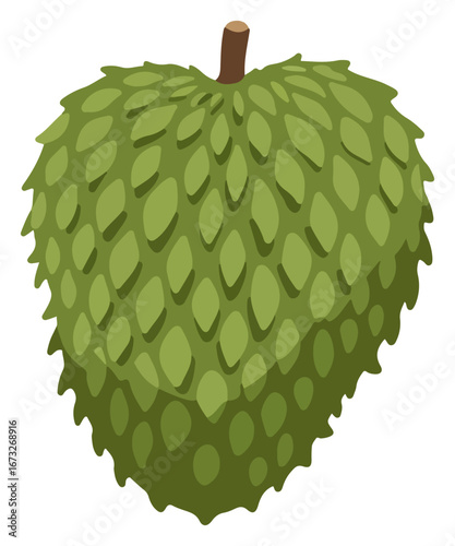 Illustration of a ripe soursop fruit, showing its textured, green exterior and stem.