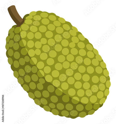 Illustration of a whole jackfruit, showcasing its textured green skin and brown stem.