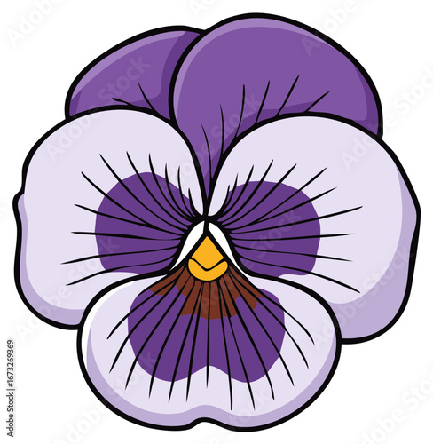 Purple and white pansy flower, isolated illustration