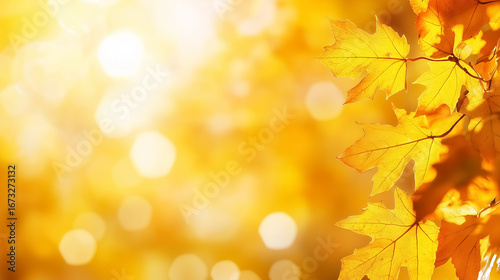 Bright yellow maple leaves illuminated by golden sunlight create a warm autumn backdrop. Gentle bokeh enhances the serene mood, ideal for nature lovers, seasonal decor, and wellness concepts