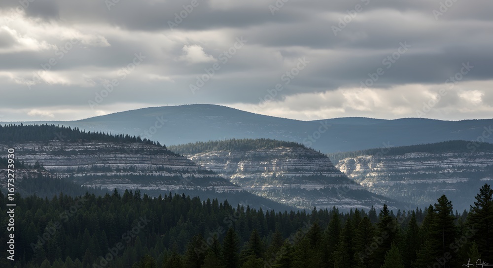 Obraz premium Layered Mountain Ranges, Soft Light, and Dense Forest