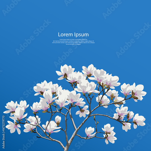 푸른하늘과 목련꽃 배너 