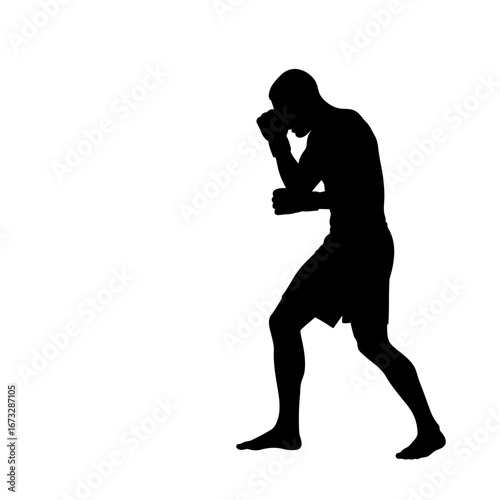 Dynamic male boxer silhouette in an aggressive stance for combat sports.