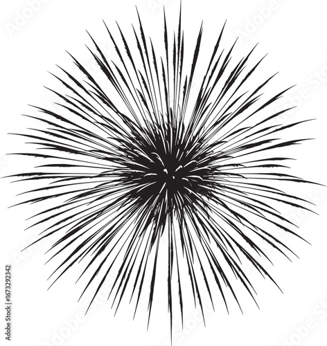 Sea urchin spiky ball black silhouette vector