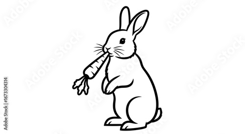 cute bunny rabbit eating carrot, line art, animal illustration, easter bunny, spring animal