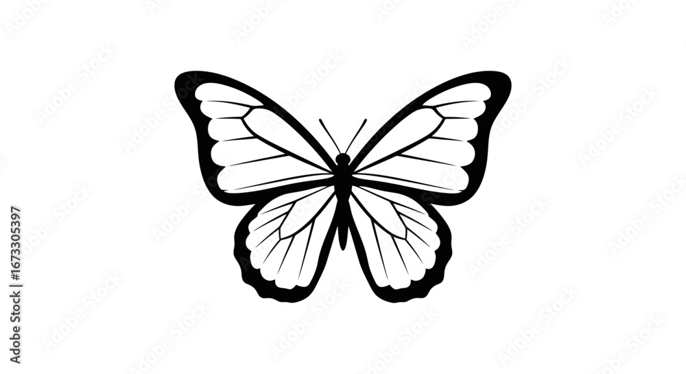 Fototapeta premium elegant black butterfly illustration nature, insect, wings, monochrome design graphic