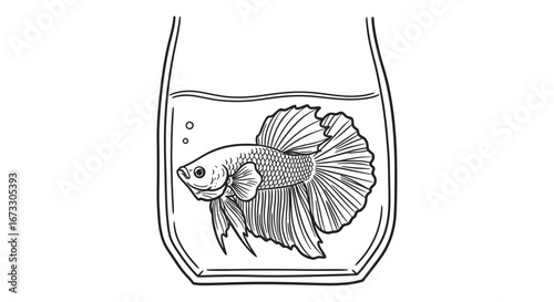 elegant betta fish in glass tank line art, pet, aquarium, nature