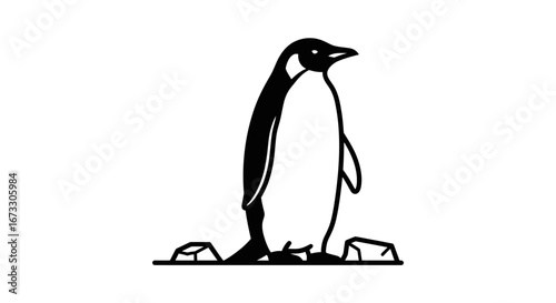 emperor penguin illustration, antarctic bird, black and white, minimalist line art, wildlife, nature, ice