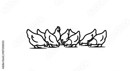farm hens pecking food, chickens eating, poultry flock, simple line art, black and white illustration