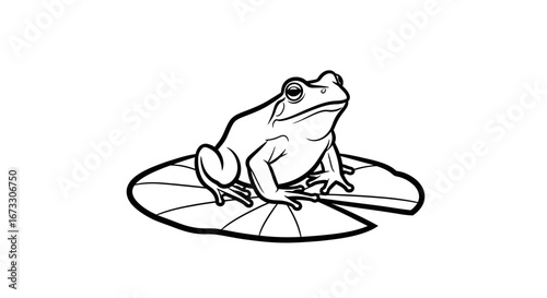 frog on lily pad line art, amphibian illustration, nature graphic, pond animal