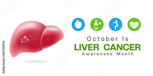 October is Liver Cancer month. Liver, food, no alcohol and more. Suitable for posters, banners and social media. White background.
