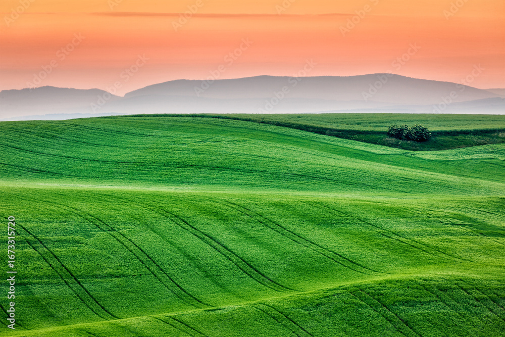 Fototapeta premium Dusk Pasture Distant View Landscape Photography