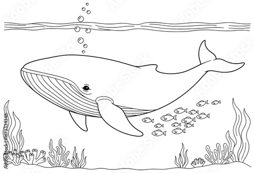 Whale vector illustration featuring a large whale swimming underwater with bubbles, coral reef, seaweed, and a small school of fishes in a clean cartoon line art design for coloring projects