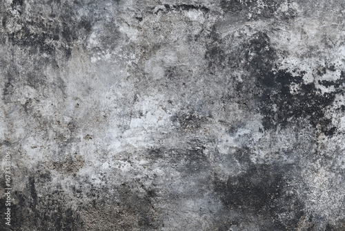 Wallpaper Mural Weathered wall texture dark gray white grunge background Torontodigital.ca