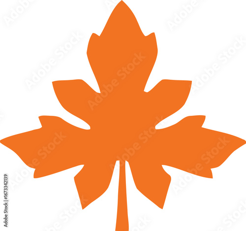 An orange leaf with distinct lobes and a prominent central vein against a white background is displayed