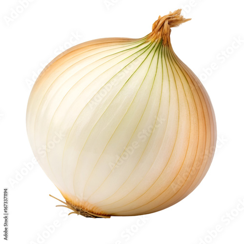 Wallpaper Mural Whole Onion with Gradient Skin and Upright Position Isolated on Transparent Background Torontodigital.ca
