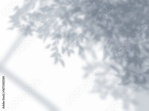 木と窓の影が壁に映る背景素材
