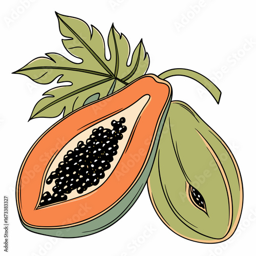 Illustration of a papaya fruit cut in half with seeds a whole papaya
