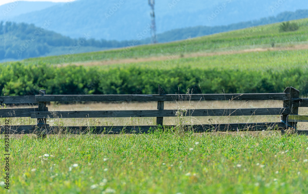 Fototapeta premium Wooden fences in the open countryside