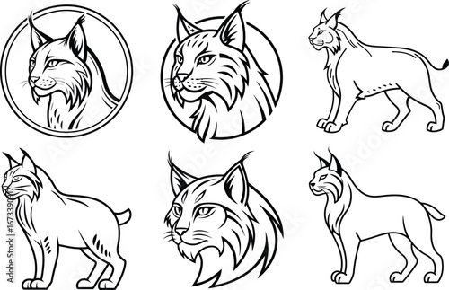 Captivating lynx designs for powerful brand identity and striking logo creations, embodying wild elegance and fierce spirit for modern businesses