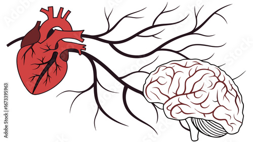 Illustration of the Human Heart and Brain Connected by Vessels.