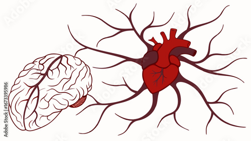 Brain and Heart Vector Illustration.