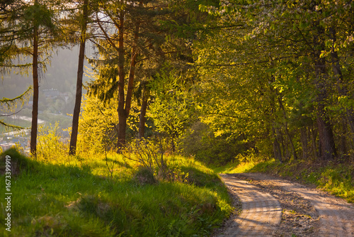 Fototapeta Naklejka Na Ścianę i Meble -  Na Malniku w Muszynie wiosną.