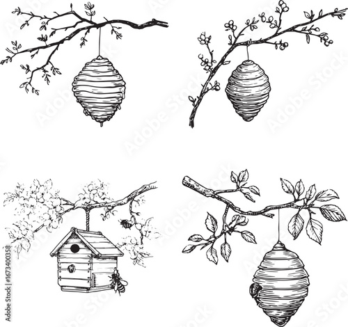 honey bee hive hanging on branch, simple doodle style, vector line art logo, black and white coloring page, white background, clipart isolated.eps