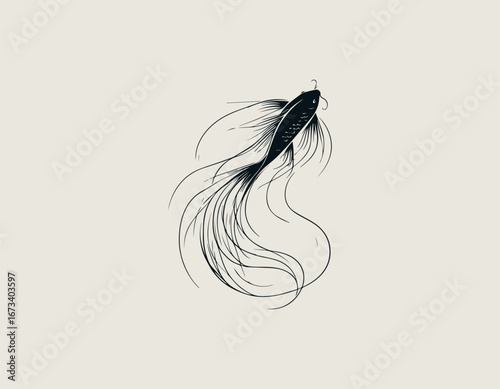 Graceful and elegant koi fish illustration with long, flowing fins and a delicate curving body. Nature concept