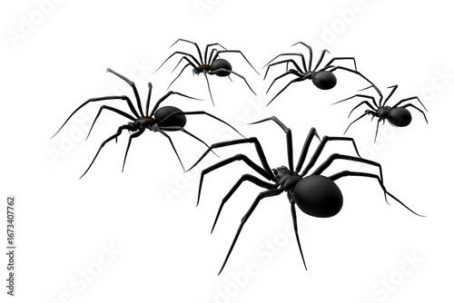 Black spiders crawling on a transparent background