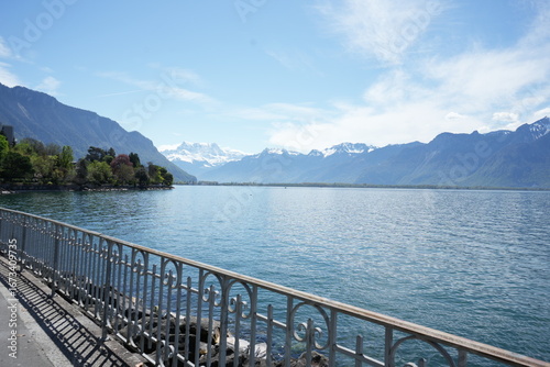 lake and snowy mountains in the summer