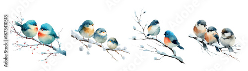 Watercolor set of winter birds sitting on a snowy tree branch. Bullfinches, tits, sparrows and other birds hibernate. Nature elements for winter and Christmas designs. Vector illustration.