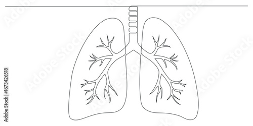 Human lungs organ outline drawing illustration. Continuous one line drawing of lungs. Vector Illustration.