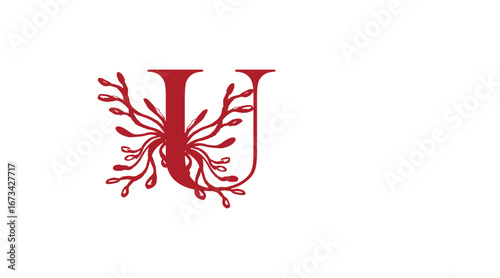 Adobe IllustratoElegant ornamental alphabet design with intricate floral and decorative vector elements. The letter is styled with vintage patterns, luxury curves, and artistic flourishes, u