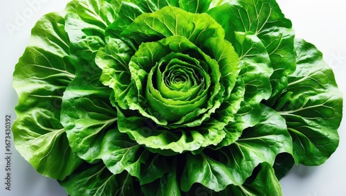 Fresh green lettuce head with leafy layers, close-up. Salad vegetable, healthy eating, and organic food concept. Fresh produce and leafy greens.