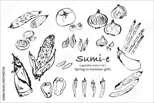 墨絵：滲みが特徴的な柔らかな手描きイラスト、日本の四季、春から夏の野菜