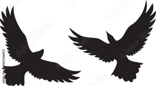 Eagle flying silhouettes set