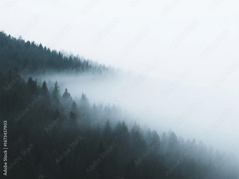 Fototapeta premium forest mountain foggy aerial view