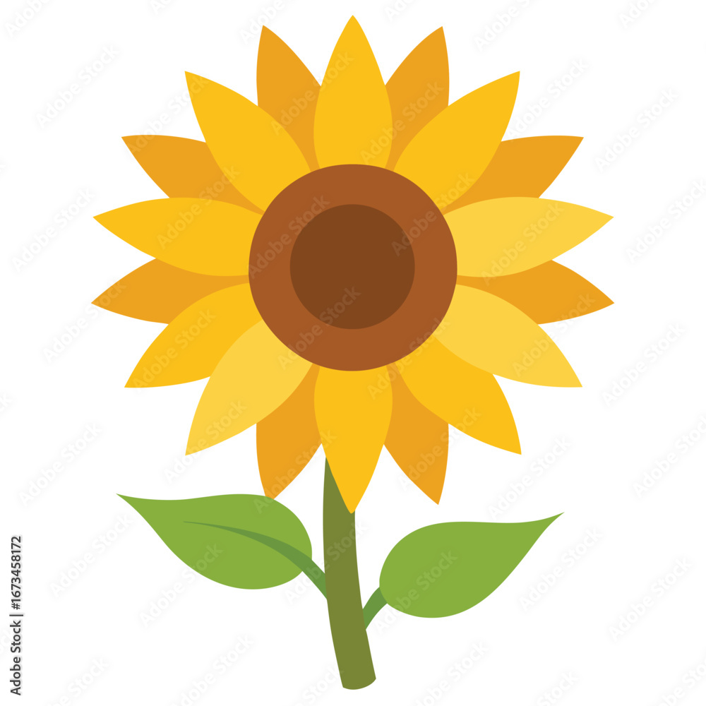 Fototapeta premium Sunflower vector illustration on white background isolated flower nature summer plant blossom bright petals garden bloom