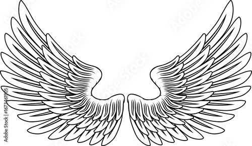 A pair of angel, eagle or p...