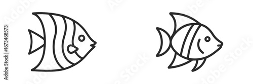Vector illustration of isolated fish with simple lines and design
