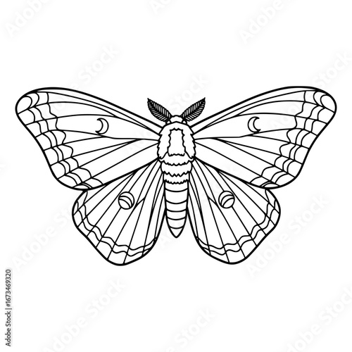 Butterfly silhouette in vector, svg, png.