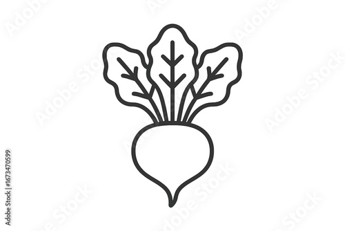 Clean vector illustration of a beet with green leaves