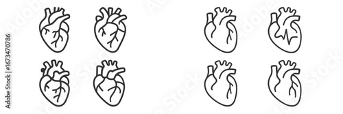 Heart vector illustrations in different styles and orientations