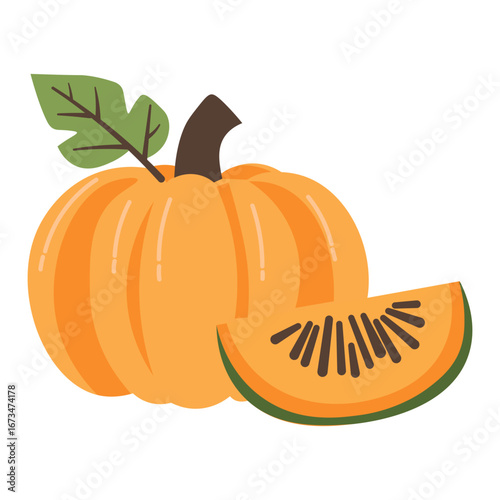 Vector illustration of pumpkin with sliced piece, healthy vegetable for cooking, farming, organic harvest, seasonal food design.