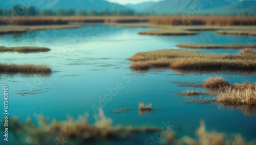 A wetland landscape with water and patches of grass, with mountains in the background. Nature and environmental scene. Outdoor landscape with water and vegetation.